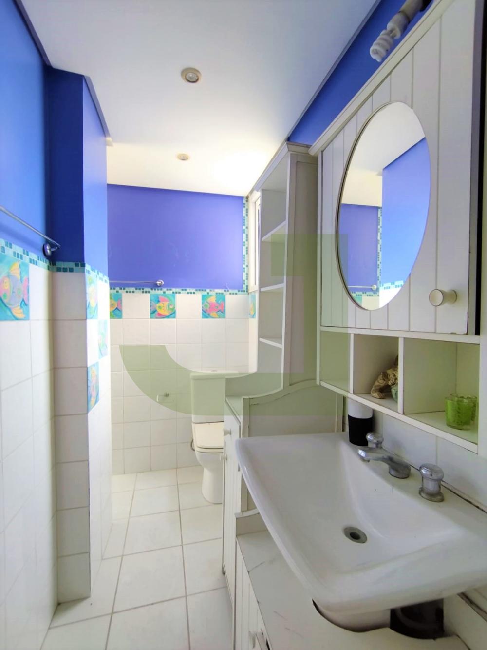 Alugar Apartamento / Padr&atilde;o em S&atilde;o Leopoldo R$ 2.800,00 - Foto 11