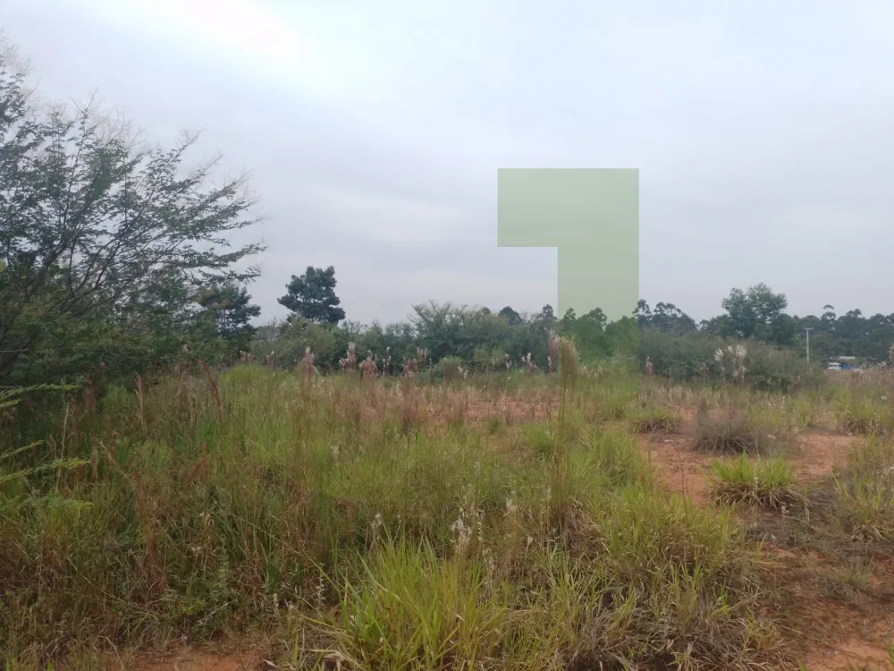 Comprar Terreno / &Aacute;rea de Terras em S&atilde;o Leopoldo R$ 25.000.000,00 - Foto 2