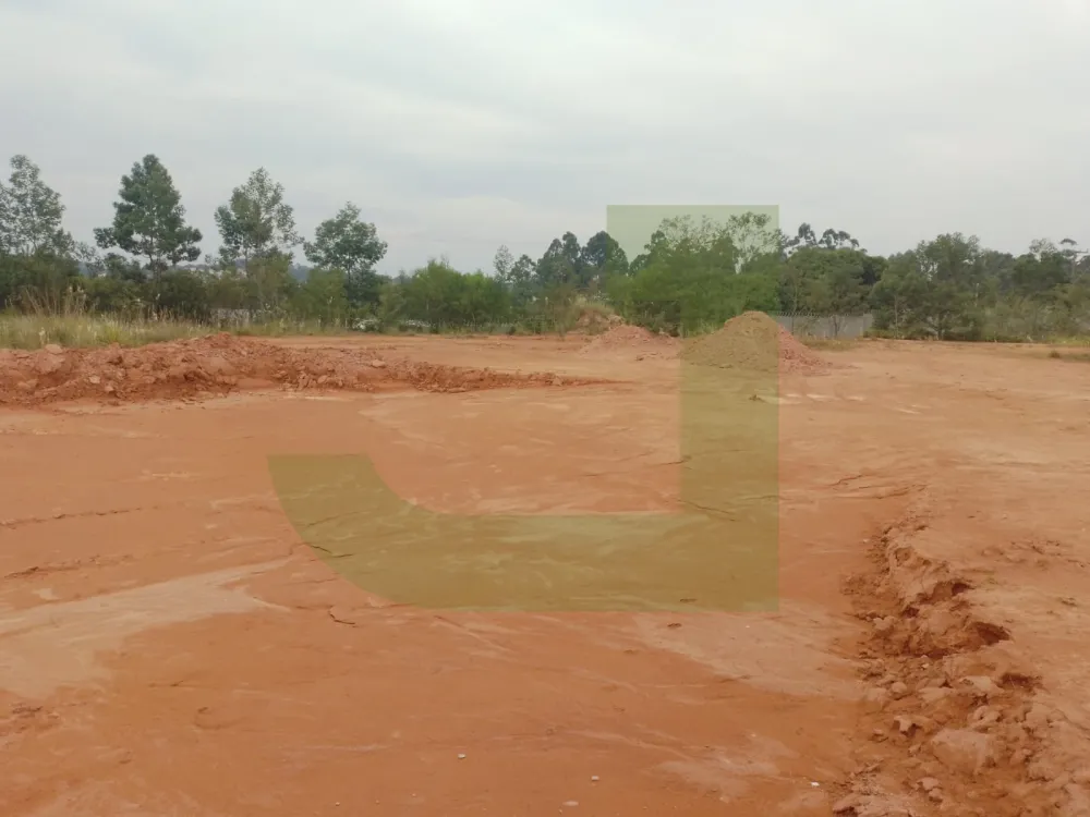 Comprar Terreno / &Aacute;rea de Terras em S&atilde;o Leopoldo R$ 25.000.000,00 - Foto 3