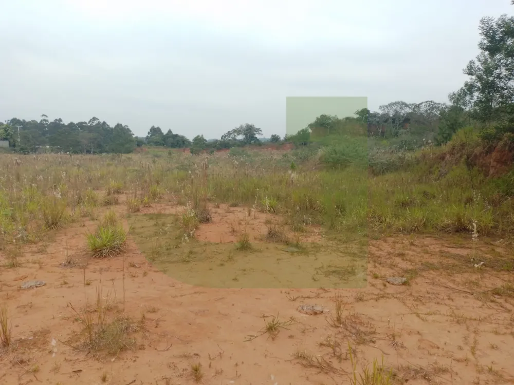 Comprar Terreno / &Aacute;rea de Terras em S&atilde;o Leopoldo R$ 25.000.000,00 - Foto 4