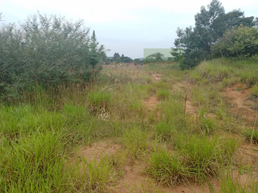 Comprar Terreno / &Aacute;rea de Terras em S&atilde;o Leopoldo R$ 25.000.000,00 - Foto 14