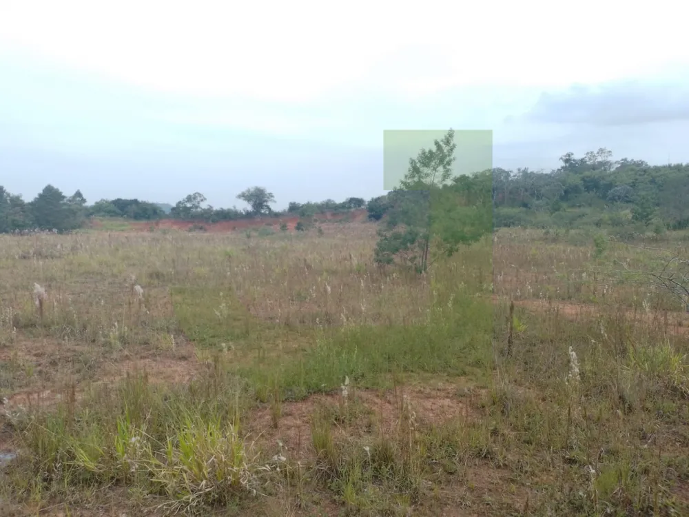 Comprar Terreno / &Aacute;rea de Terras em S&atilde;o Leopoldo R$ 25.000.000,00 - Foto 15