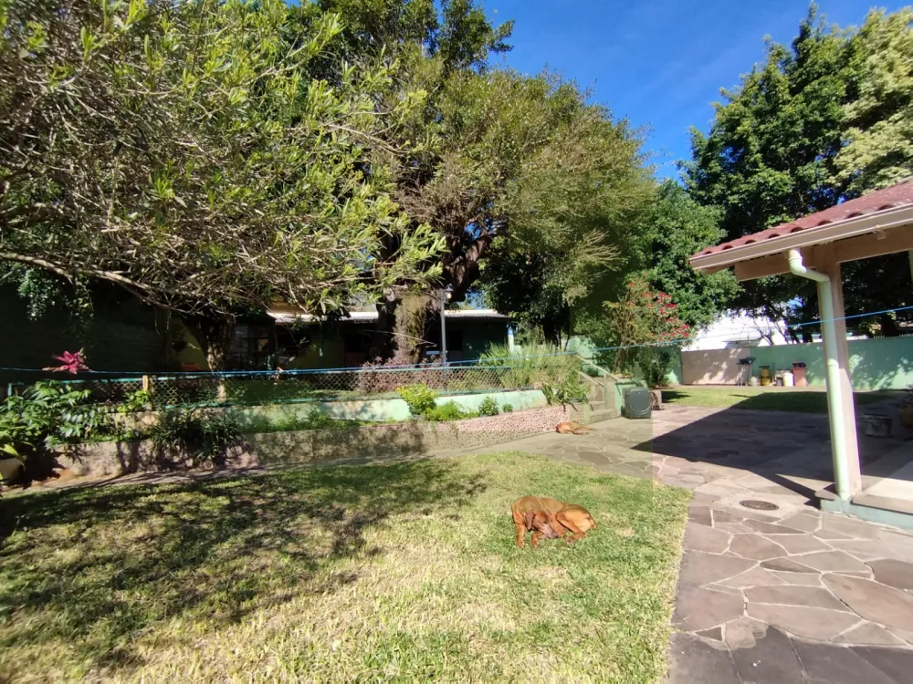 Alugar Casa / ComercialResidencial em S&atilde;o Leopoldo R$ 5.000,00 - Foto 8