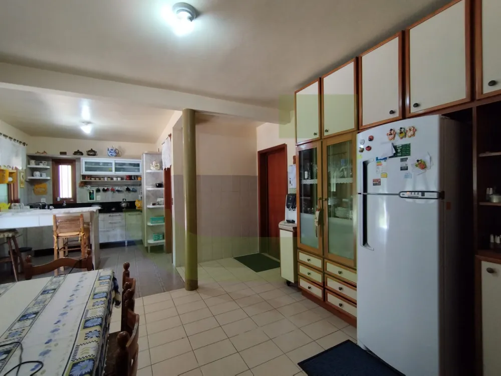 Alugar Casa / ComercialResidencial em S&atilde;o Leopoldo R$ 5.000,00 - Foto 13