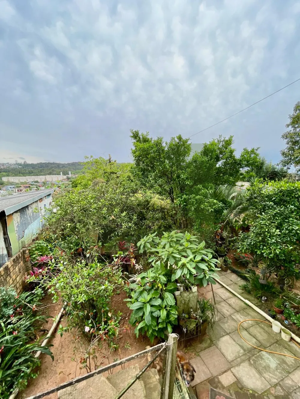 Comprar Casa / Residencial em S&atilde;o Leopoldo R$ 470.000,00 - Foto 12