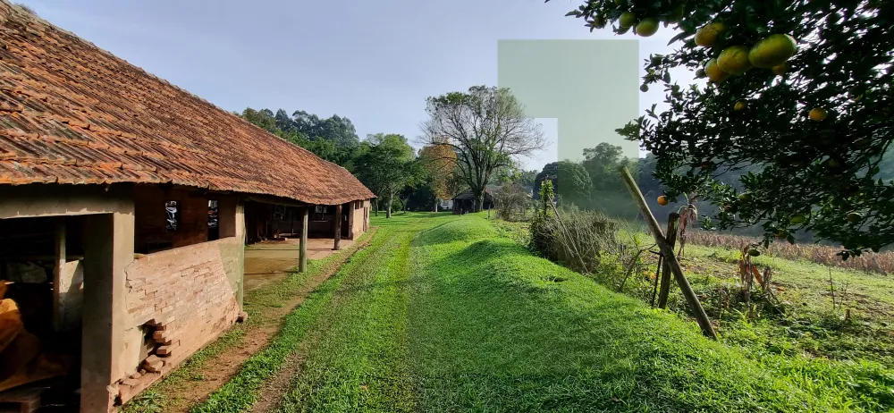 Comprar Terreno / &Aacute;rea de Terras em S&atilde;o Leopoldo R$ 6.000.000,00 - Foto 7