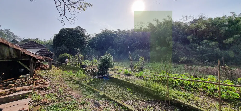 Comprar Terreno / &Aacute;rea de Terras em S&atilde;o Leopoldo R$ 6.000.000,00 - Foto 11