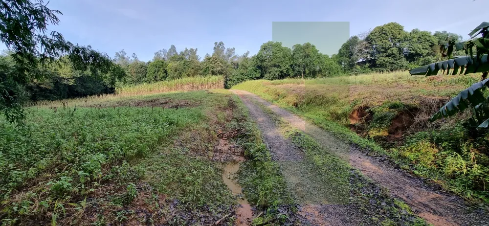 Comprar Terreno / &Aacute;rea de Terras em S&atilde;o Leopoldo R$ 6.000.000,00 - Foto 10