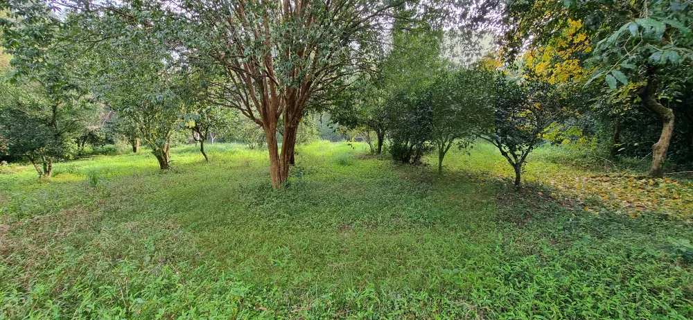 Comprar Terreno / &Aacute;rea de Terras em S&atilde;o Leopoldo R$ 6.000.000,00 - Foto 14