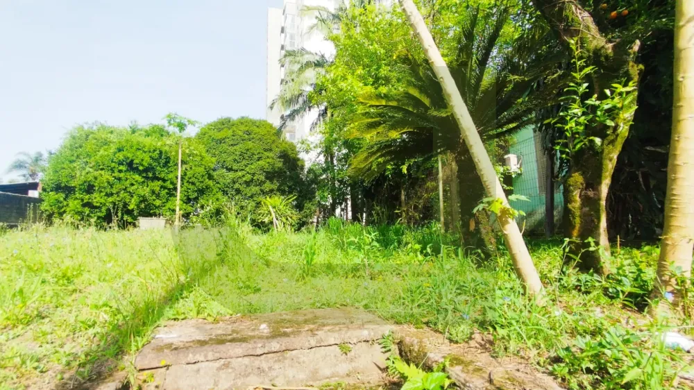 Comprar Terreno / Padr&atilde;o em S&atilde;o Leopoldo R$ 950.000,00 - Foto 4