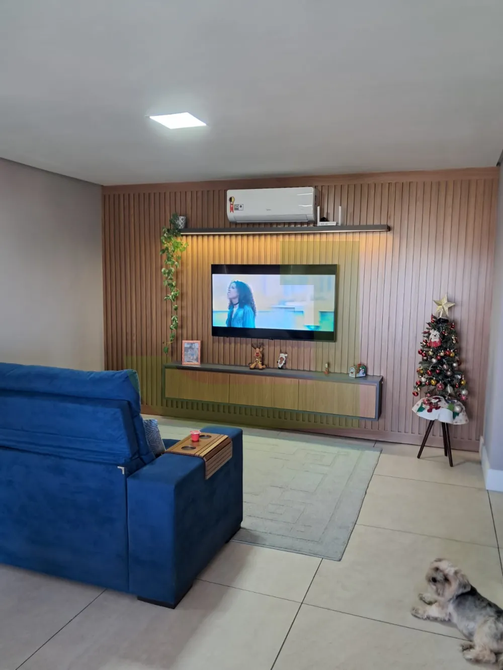 Alugar Apartamento / Padr&atilde;o em S&atilde;o Leopoldo R$ 2.000,00 - Foto 4