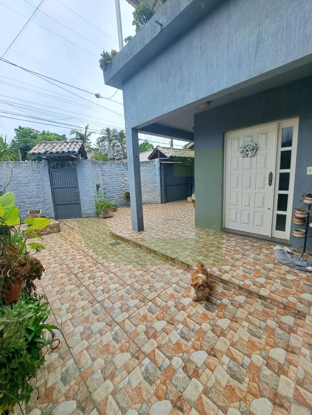 Comprar Casa / Residencial em S&atilde;o Leopoldo R$ 797.000,00 - Foto 3