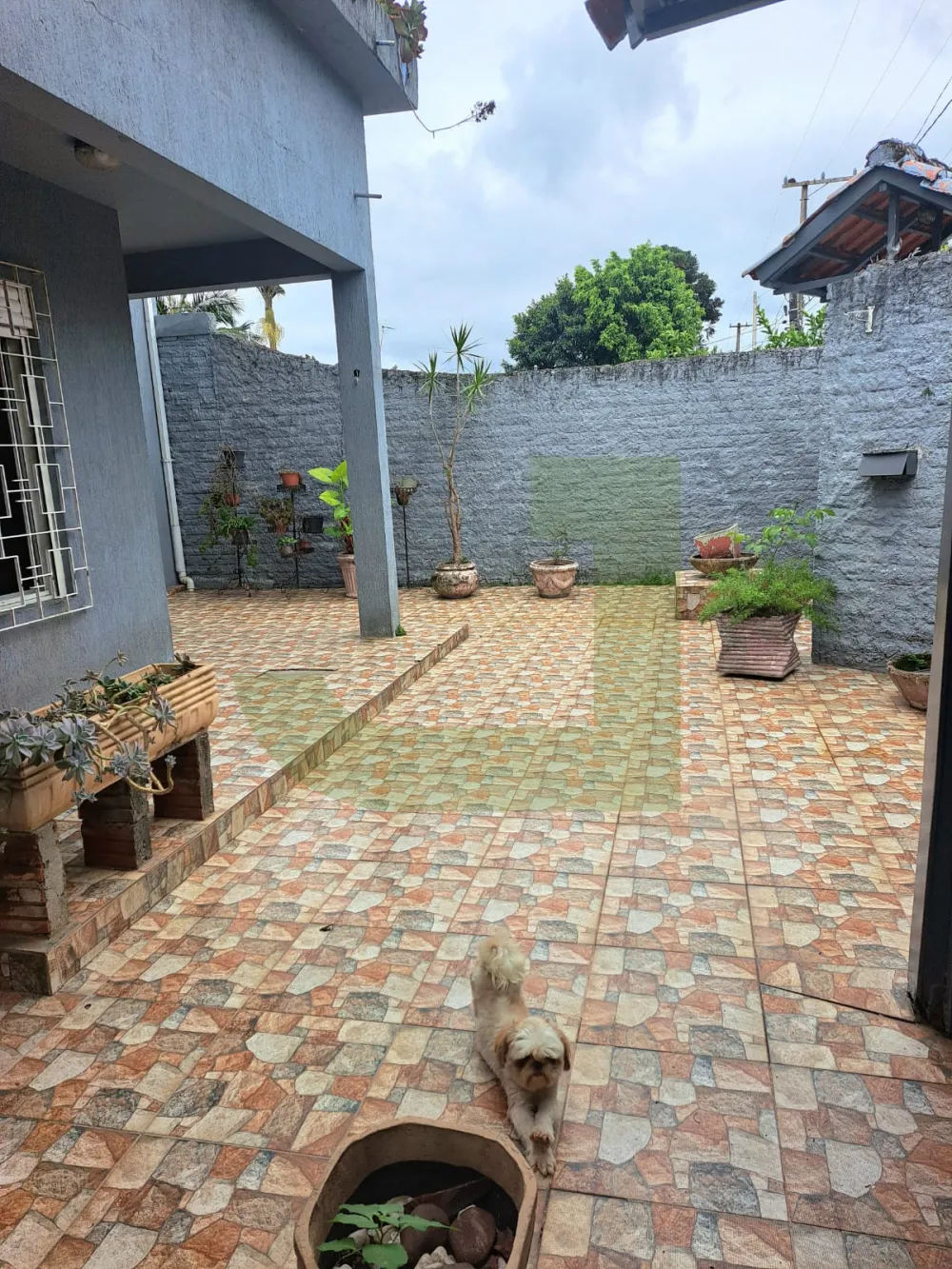 Comprar Casa / Residencial em S&atilde;o Leopoldo R$ 797.000,00 - Foto 2