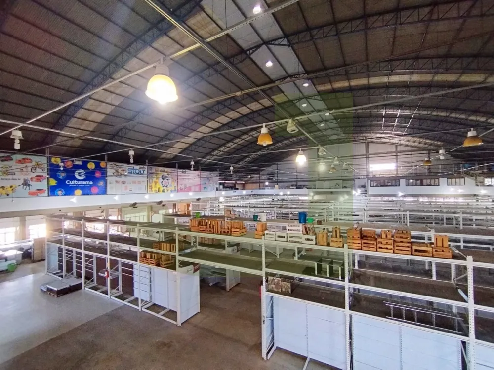 Alugar Comercial / Pr&eacute;dio em S&atilde;o Leopoldo R$ 68.000,00 - Foto 21