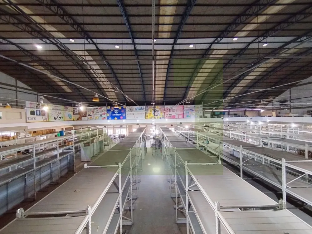 Alugar Comercial / Pr&eacute;dio em S&atilde;o Leopoldo R$ 68.000,00 - Foto 27