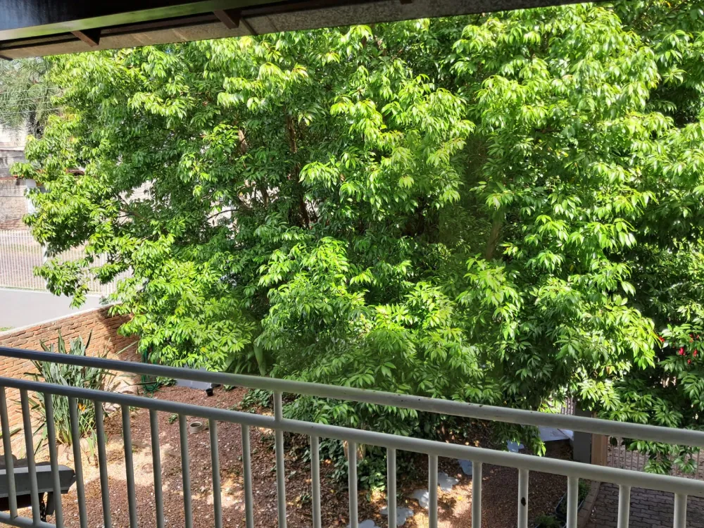 Comprar Casa / Padr&atilde;o em S&atilde;o Leopoldo R$ 1.064.000,00 - Foto 19