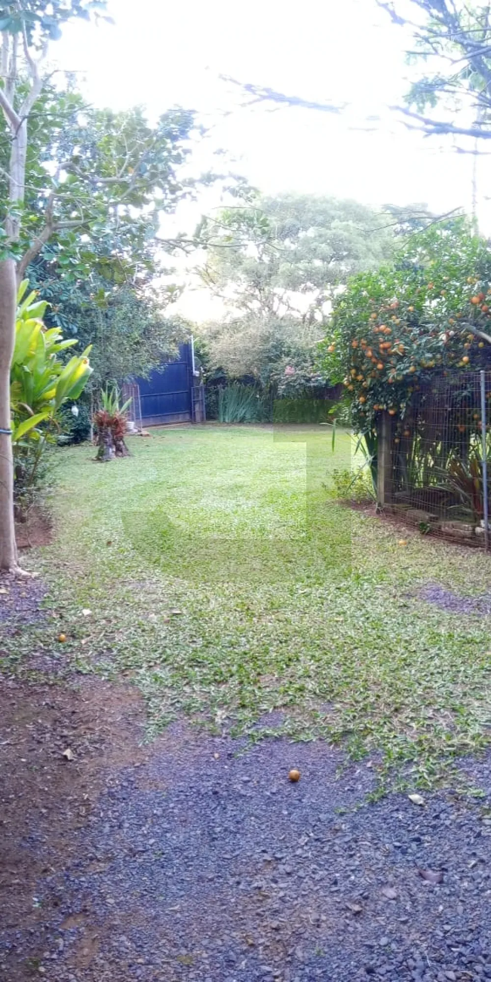 Comprar Terreno / Padr&atilde;o em S&atilde;o Leopoldo R$ 296.800,00 - Foto 1