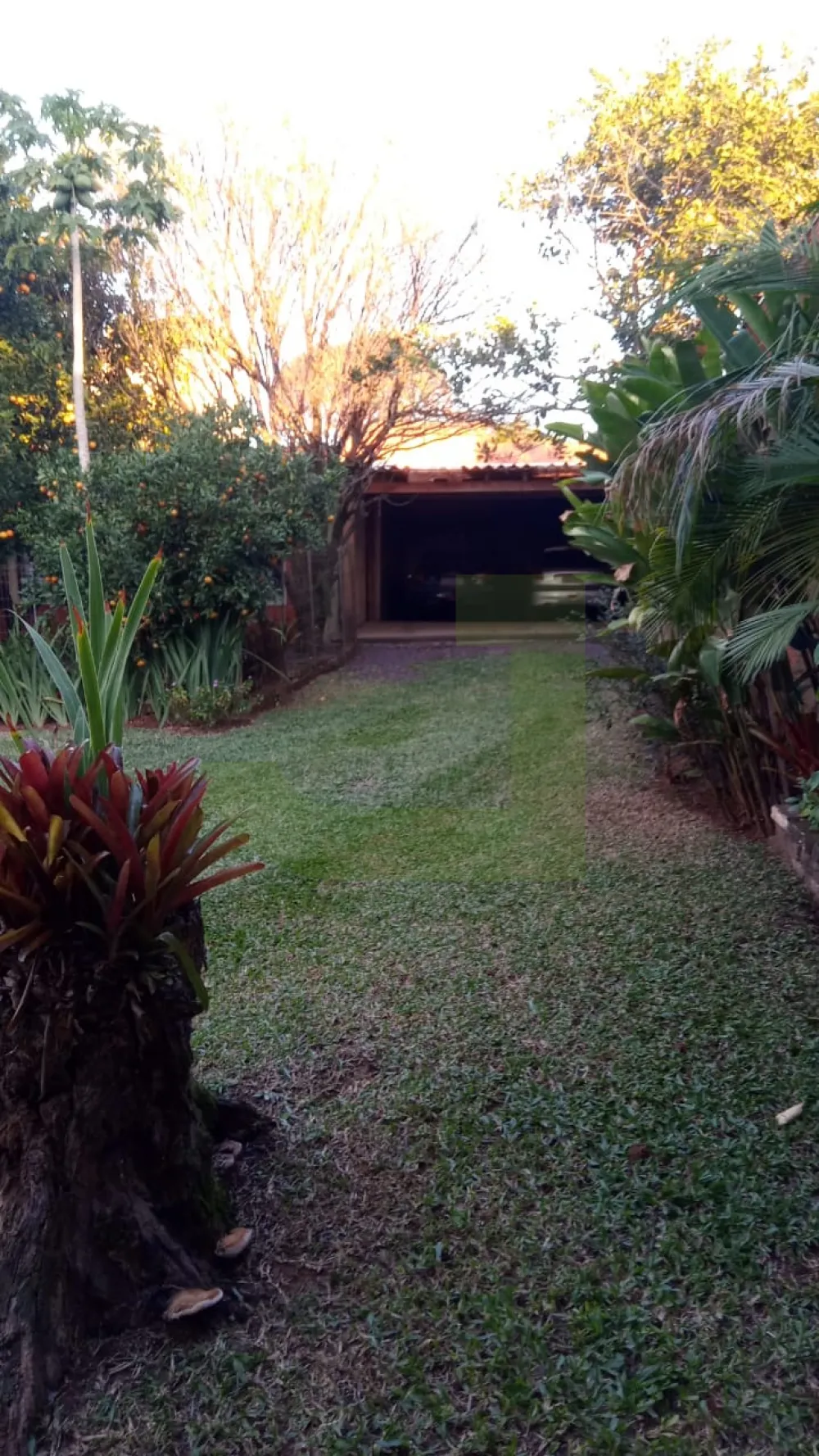 Comprar Terreno / Padr&atilde;o em S&atilde;o Leopoldo R$ 296.800,00 - Foto 6