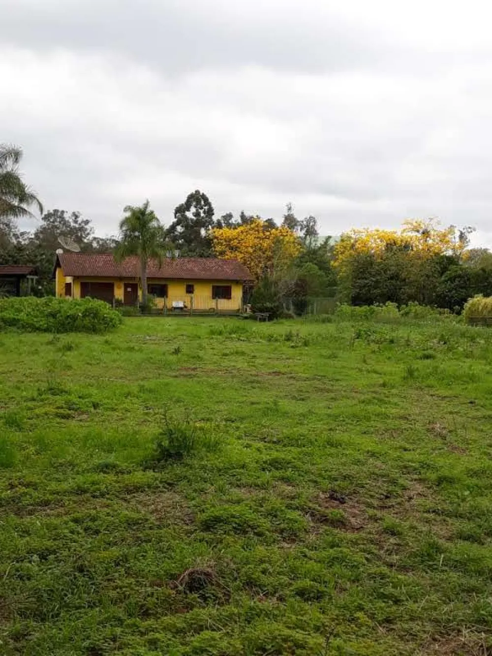 Comprar Terreno / &Aacute;rea de Terras em Novo Hamburgo R$ 1.010.000,00 - Foto 1