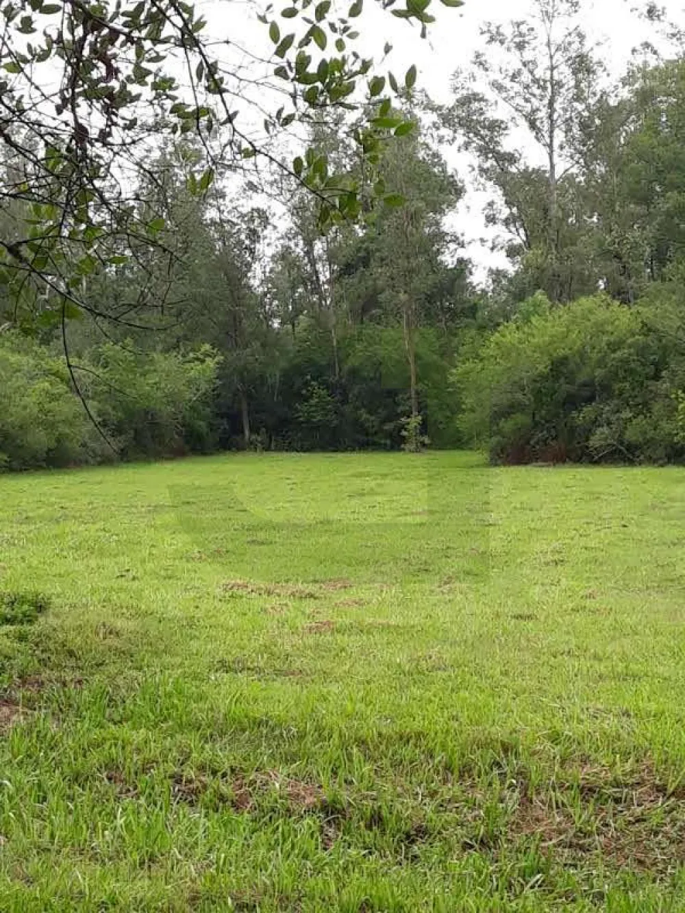 Comprar Terreno / &Aacute;rea de Terras em Novo Hamburgo R$ 1.010.000,00 - Foto 2