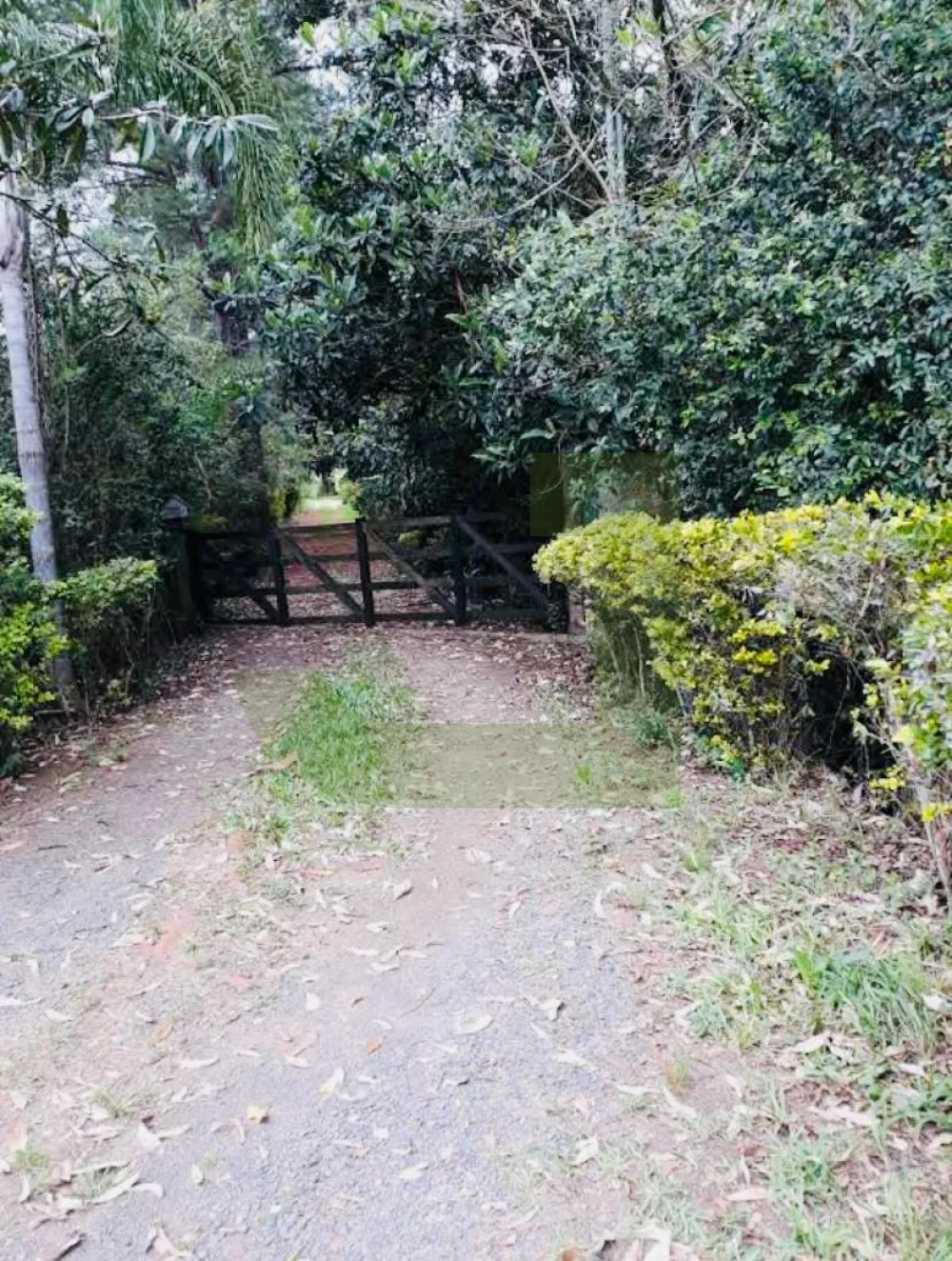 Comprar Terreno / &Aacute;rea de Terras em Novo Hamburgo R$ 1.010.000,00 - Foto 3