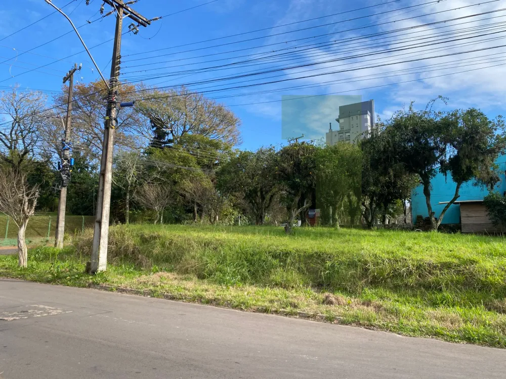 Comprar Terreno / Padr&atilde;o em Port&atilde;o R$ 700.000,00 - Foto 3