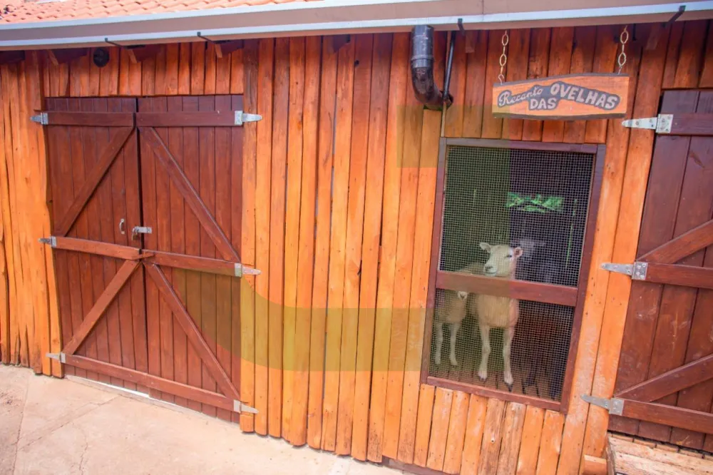 Comprar Casa / Residencial em Novo Hamburgo R$ 2.800.000,00 - Foto 27