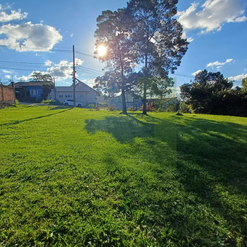 Comprar Terreno / Padr&atilde;o em S&atilde;o Leopoldo R$ 638.000,00 - Foto 4