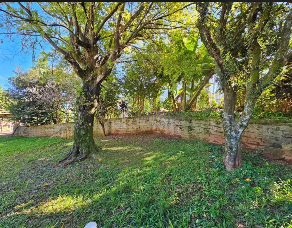 Comprar Casa / Residencial em Novo Hamburgo R$ 690.000,00 - Foto 6