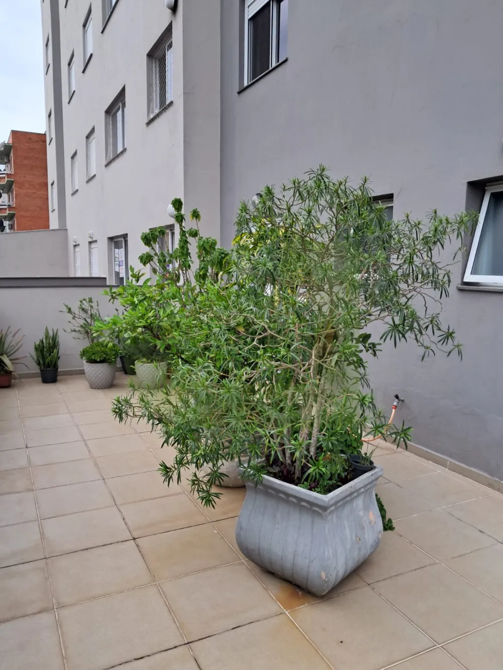 Comprar Apartamento / Padr&atilde;o em S&atilde;o Leopoldo R$ 599.000,00 - Foto 10