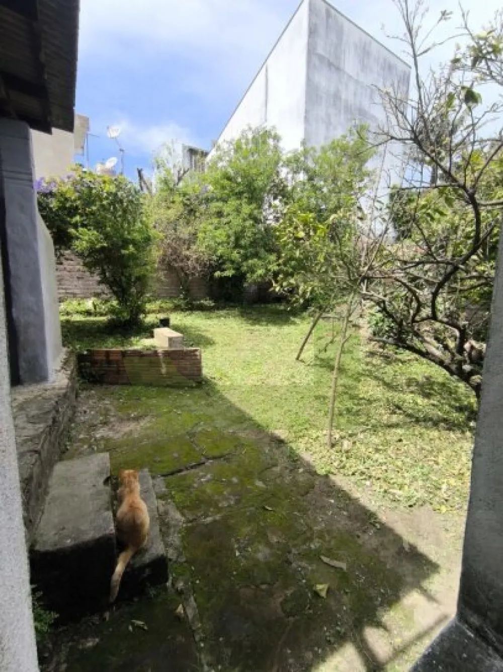 Comprar Casa / Residencial em S&atilde;o Leopoldo R$ 330.000,00 - Foto 11