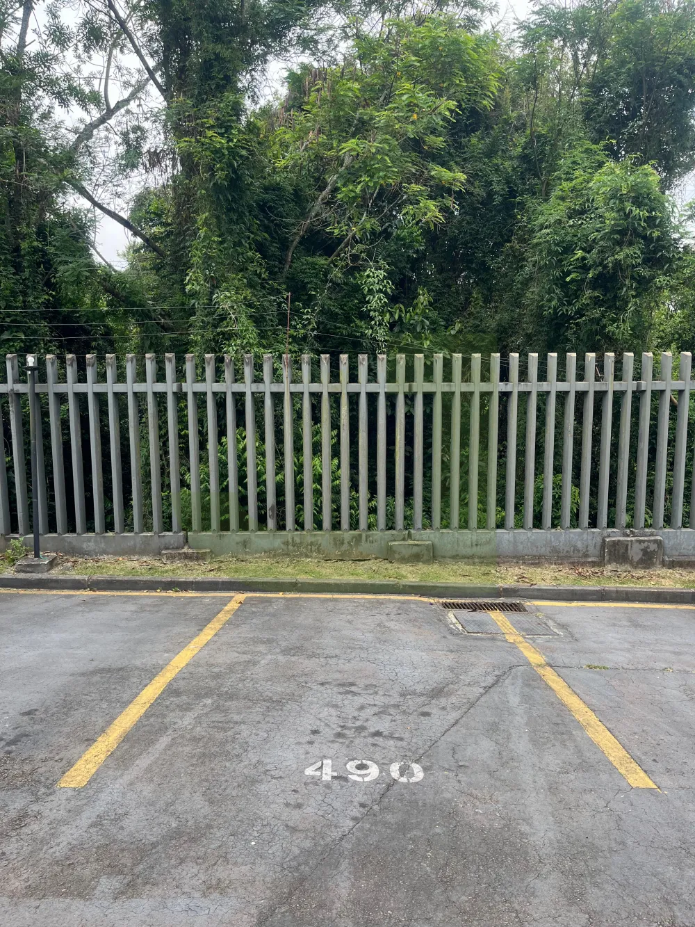 Alugar Apartamento / Padr&atilde;o em S&atilde;o Leopoldo R$ 900,00 - Foto 10