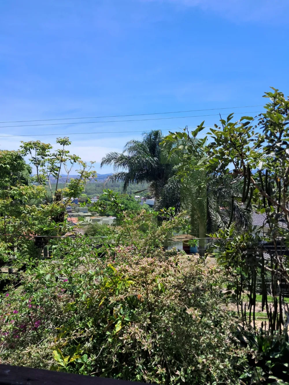 Comprar Casa / Padr&atilde;o em S&atilde;o Leopoldo R$ 756.000,00 - Foto 3