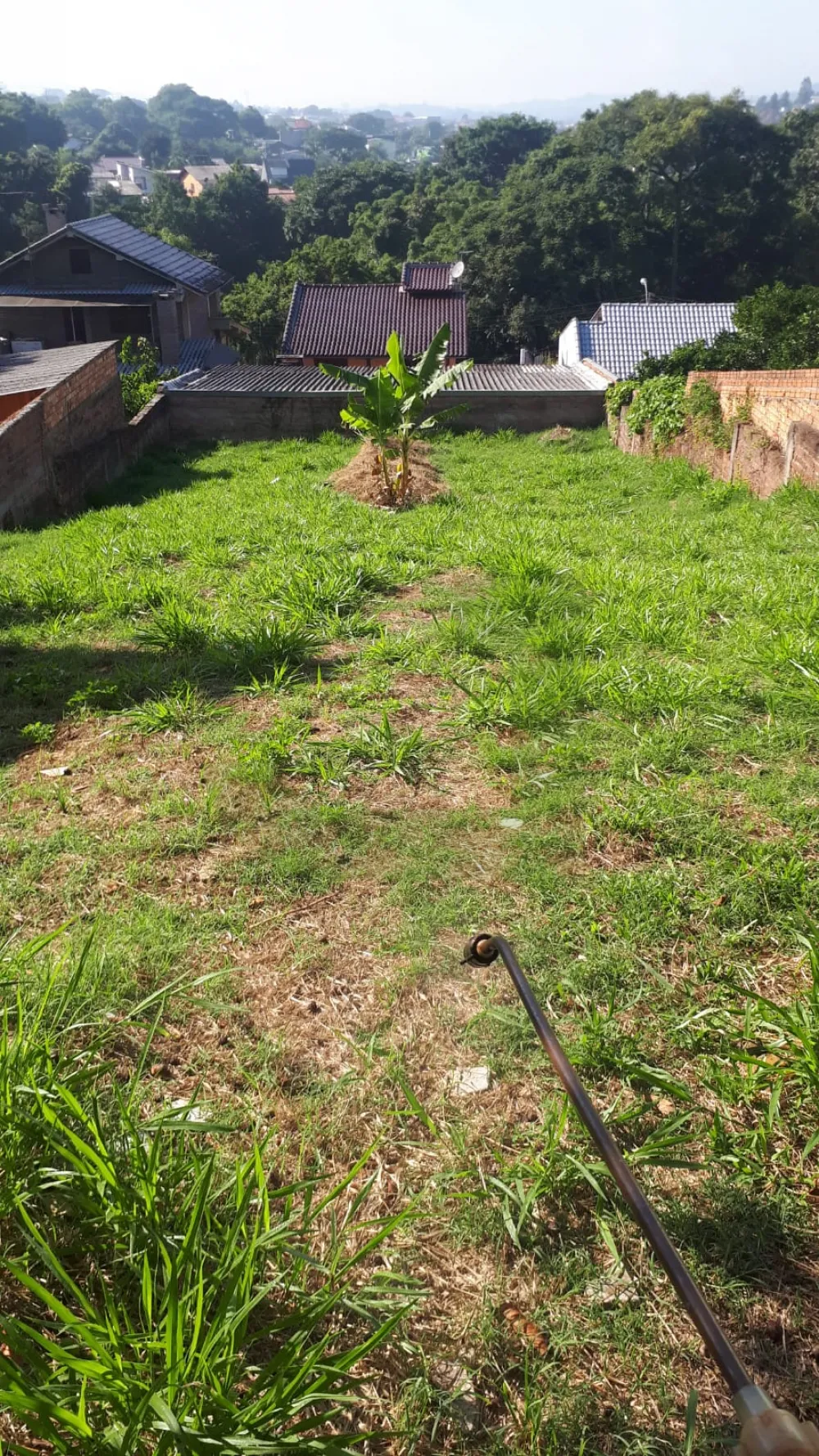 Comprar Terreno / Padr&atilde;o em S&atilde;o Leopoldo R$ 230.000,00 - Foto 2