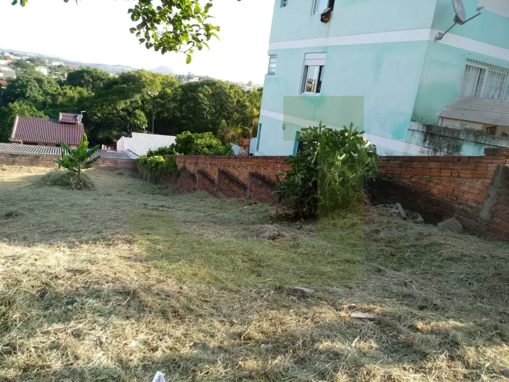 Comprar Terreno / Padr&atilde;o em S&atilde;o Leopoldo R$ 230.000,00 - Foto 5