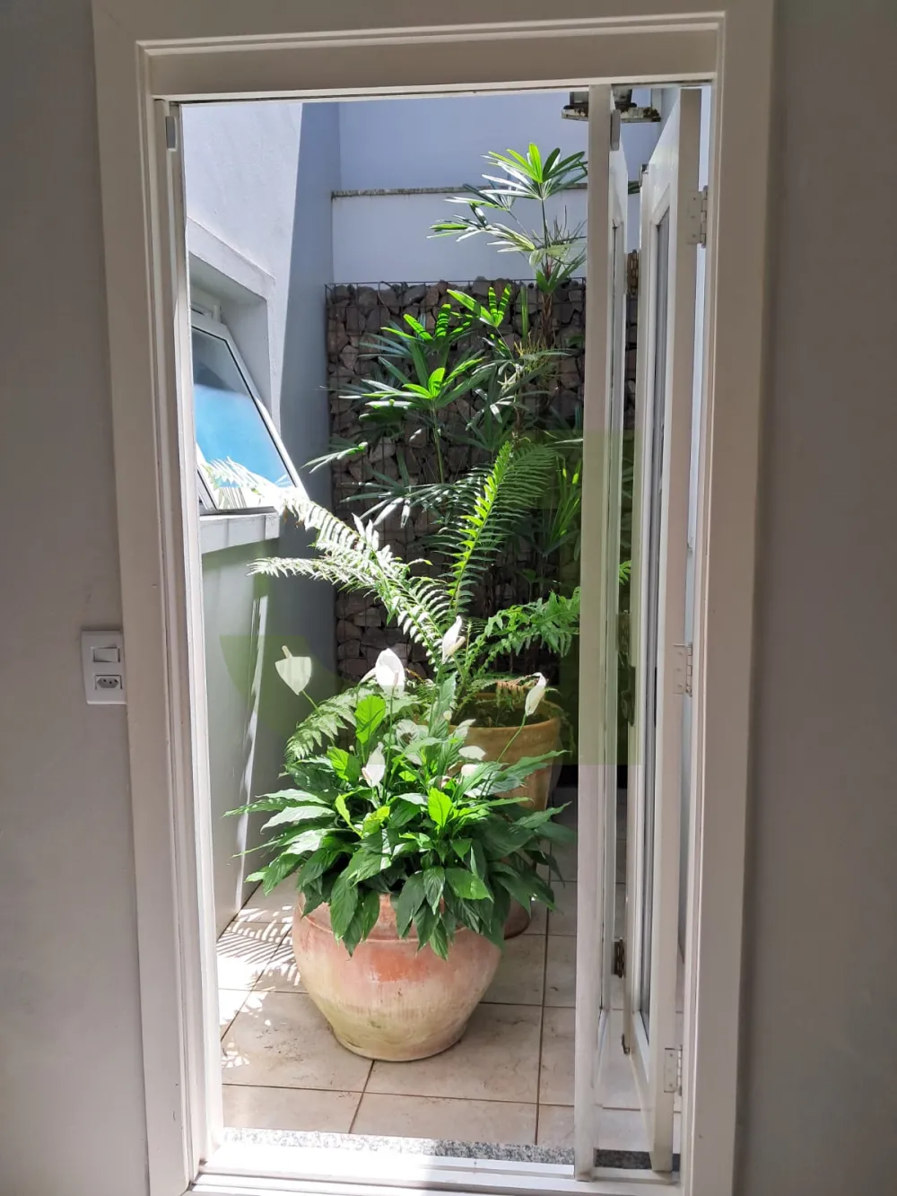 Comprar Casa / Padr&atilde;o em S&atilde;o Leopoldo R$ 1.164.000,00 - Foto 6