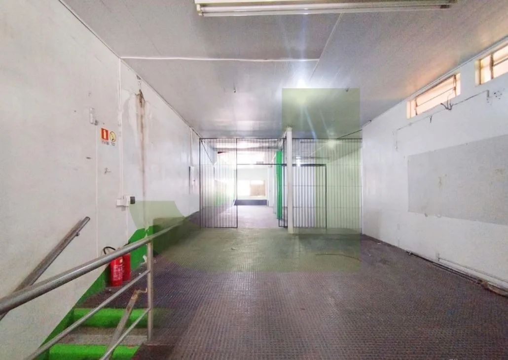 Alugar Comercial / Sala comercial em S&atilde;o Leopoldo R$ 3.000,00 - Foto 3