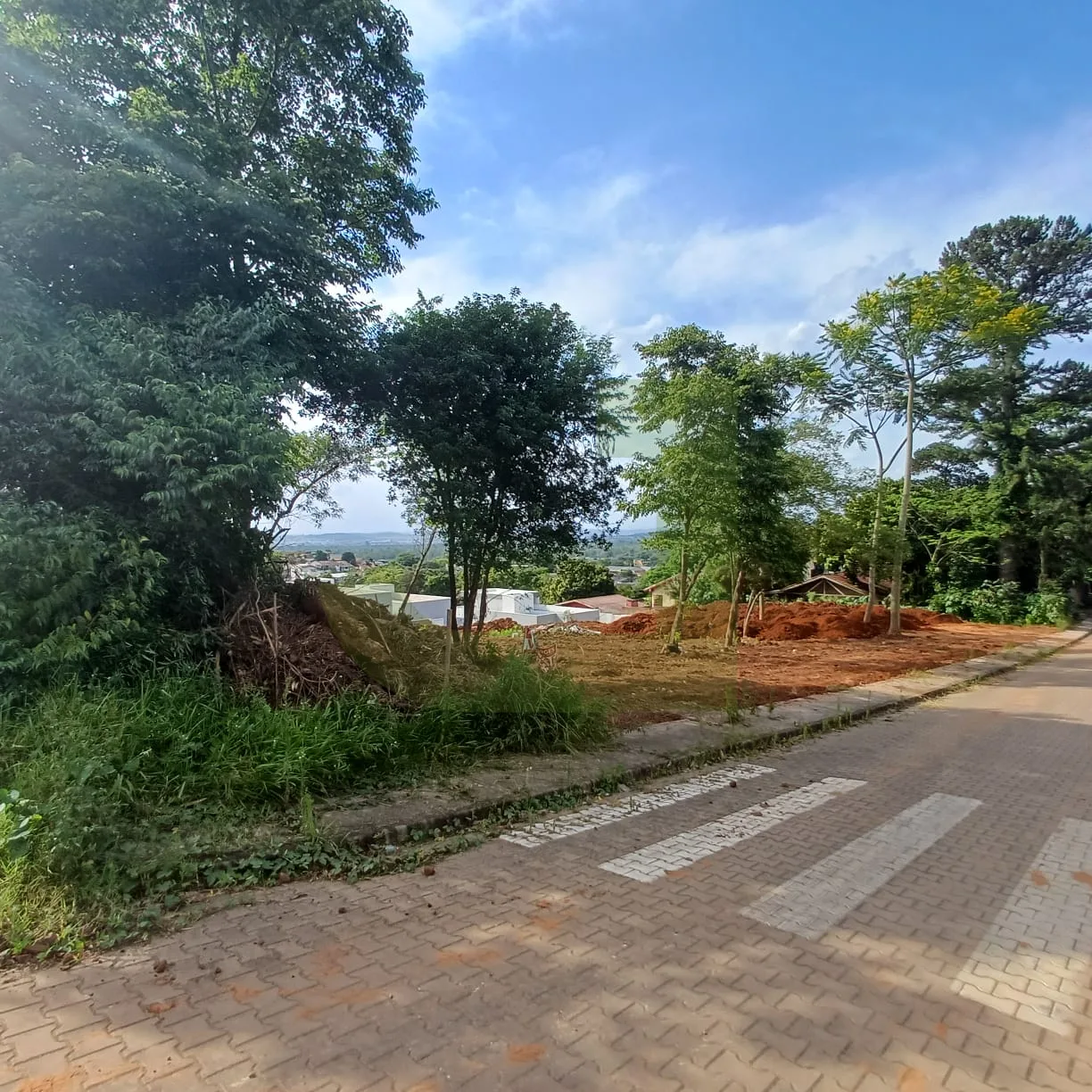 Comprar Terreno / Padr&atilde;o em S&atilde;o Leopoldo R$ 185.000,00 - Foto 2