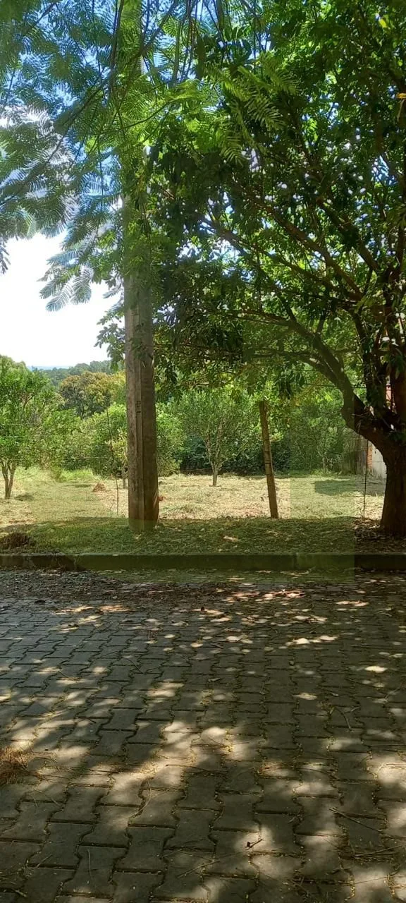 Comprar Terreno / Padr&atilde;o em S&atilde;o Leopoldo R$ 200.000,00 - Foto 2