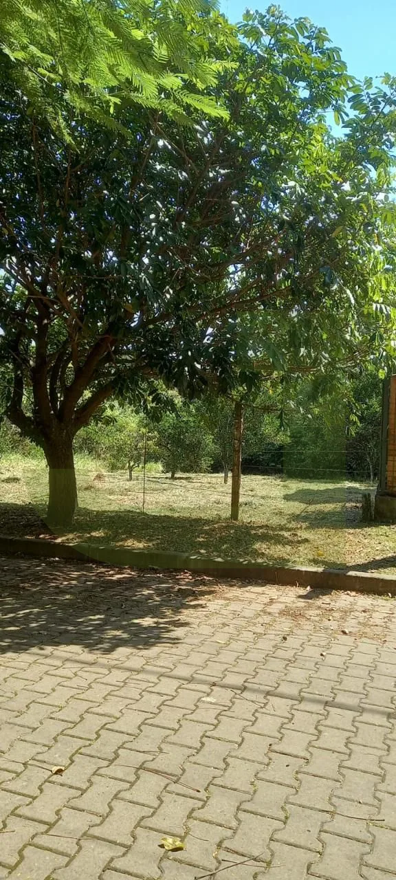 Comprar Terreno / Padr&atilde;o em S&atilde;o Leopoldo R$ 200.000,00 - Foto 3