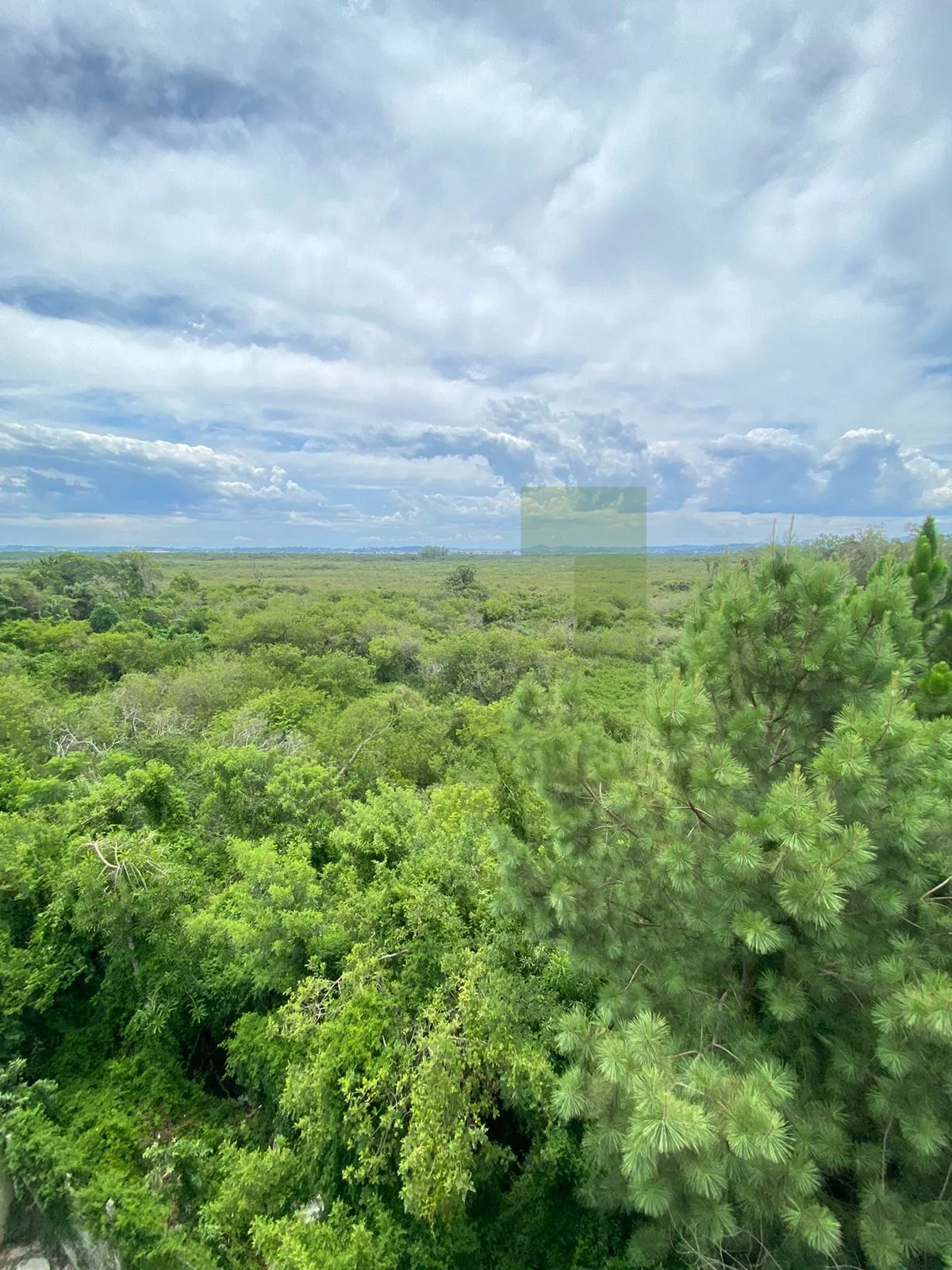 Comprar Apartamento / Padr&atilde;o em S&atilde;o Leopoldo R$ 170.000,00 - Foto 15