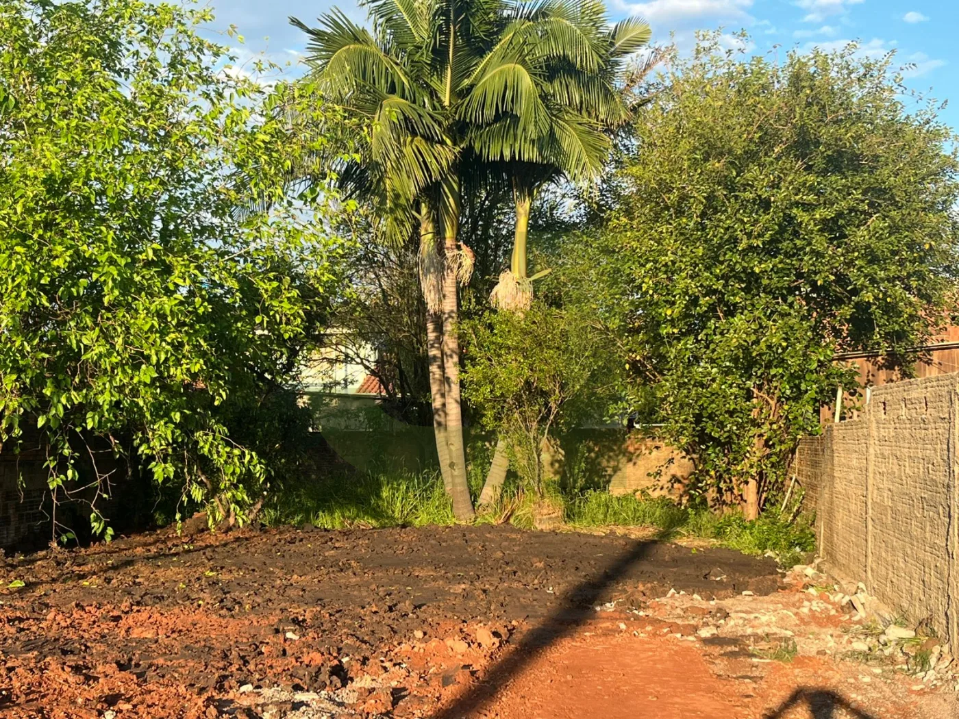 Comprar Terreno / Padr&atilde;o em S&atilde;o Leopoldo R$ 120.000,00 - Foto 6