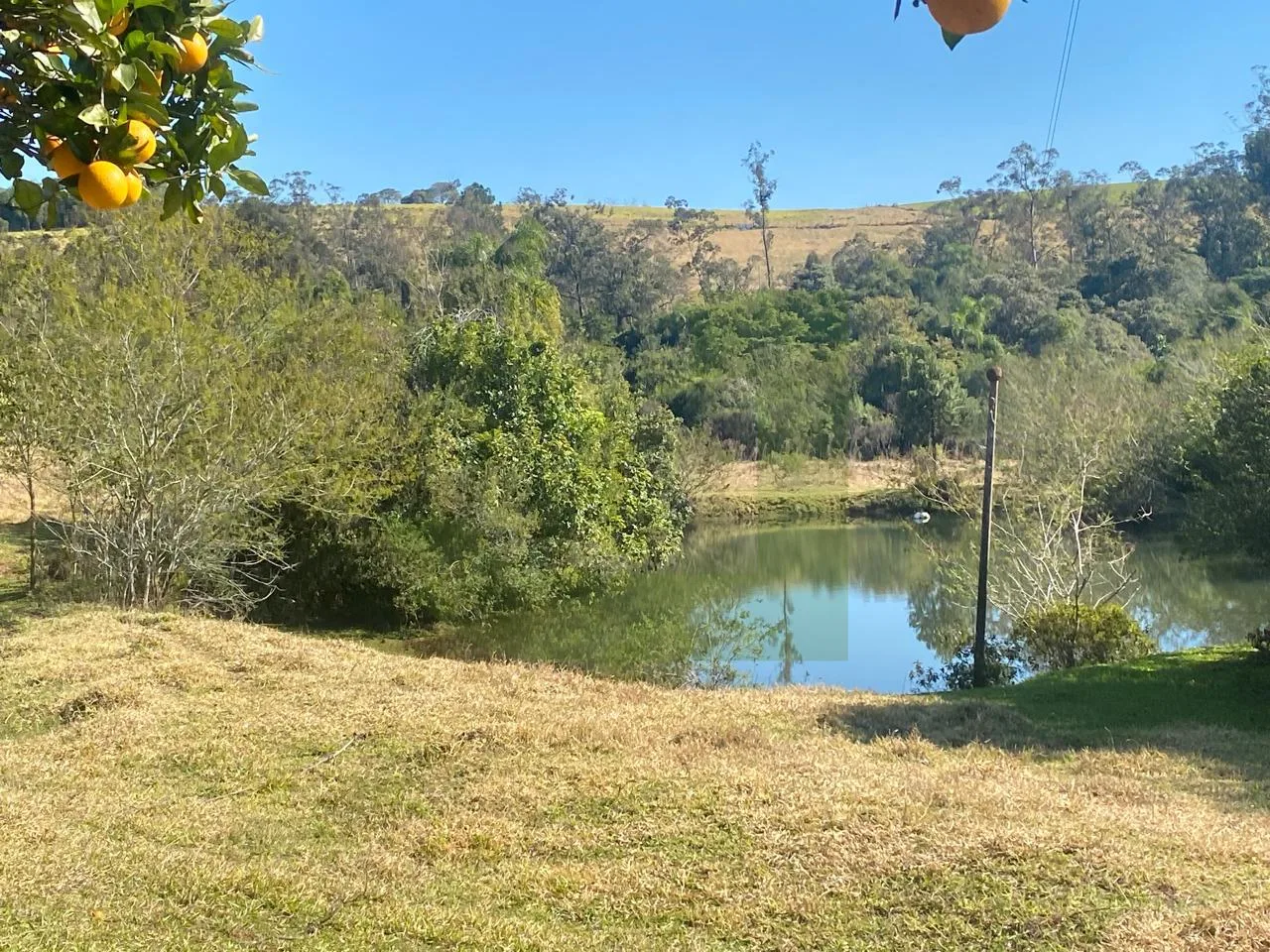 Comprar Terreno / &Aacute;rea de Terras em Novo Hamburgo R$ 880.000,00 - Foto 2