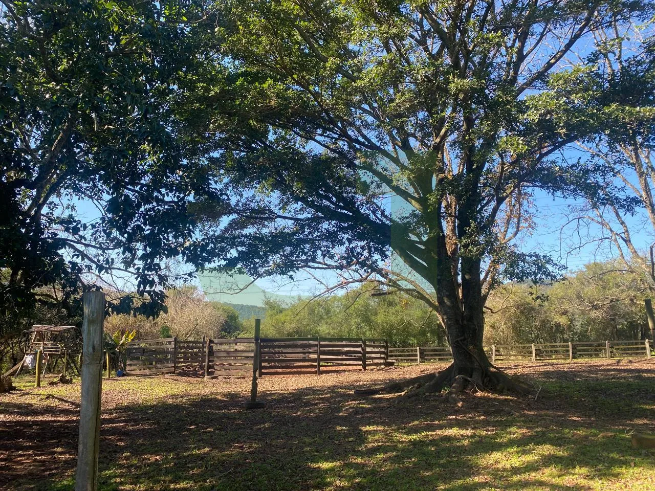 Comprar Terreno / &Aacute;rea de Terras em Novo Hamburgo R$ 880.000,00 - Foto 4