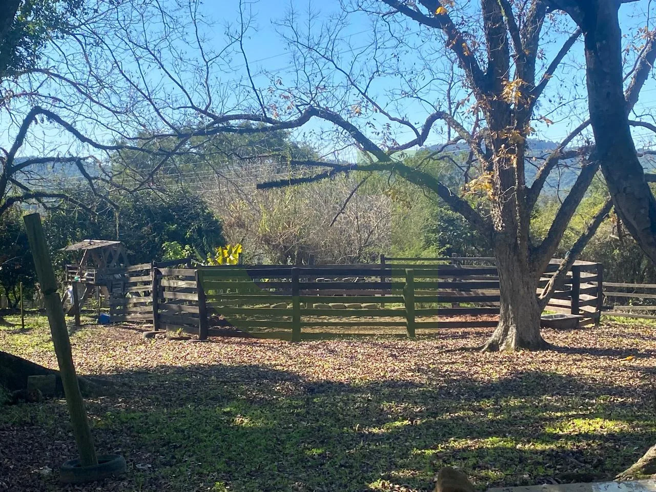 Comprar Terreno / &Aacute;rea de Terras em Novo Hamburgo R$ 880.000,00 - Foto 6