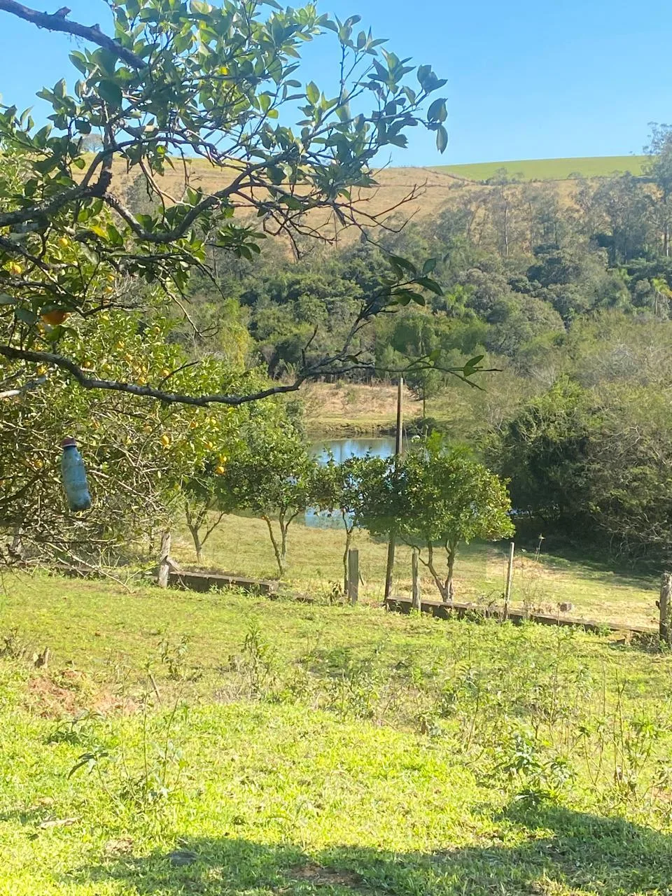 Comprar Terreno / &Aacute;rea de Terras em Novo Hamburgo R$ 880.000,00 - Foto 9