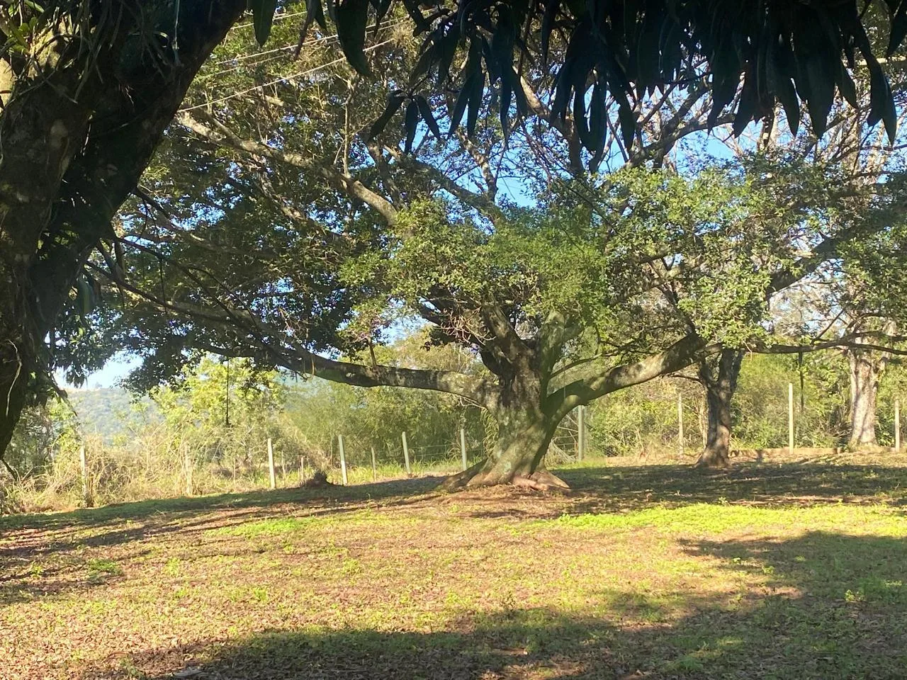 Comprar Terreno / &Aacute;rea de Terras em Novo Hamburgo R$ 880.000,00 - Foto 11