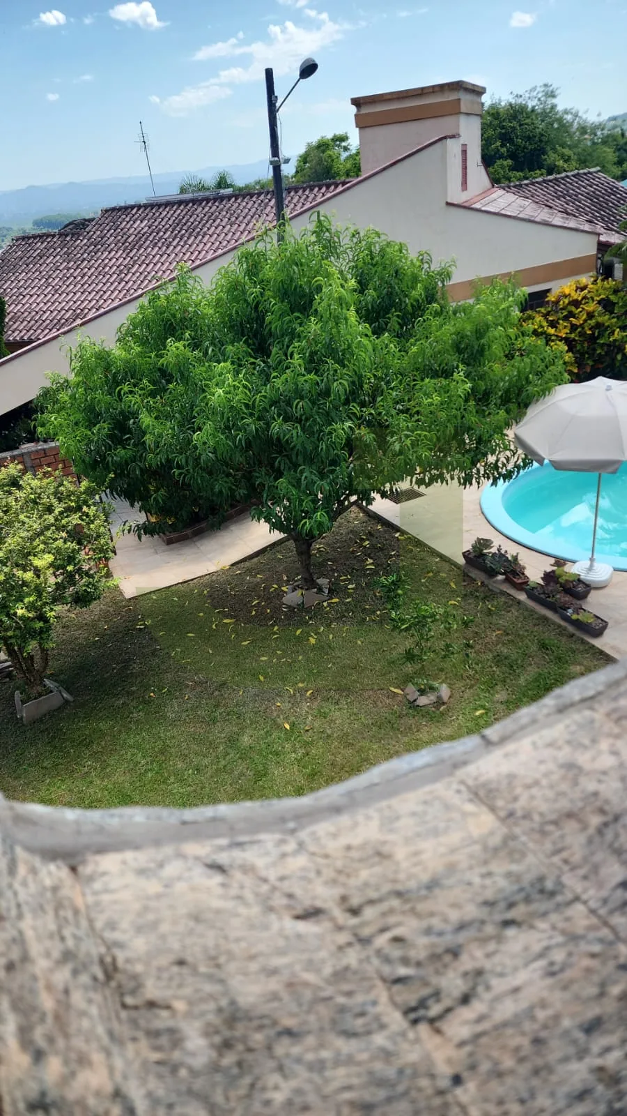 Alugar Casa / Padr&atilde;o em S&atilde;o Leopoldo R$ 7.000,00 - Foto 2