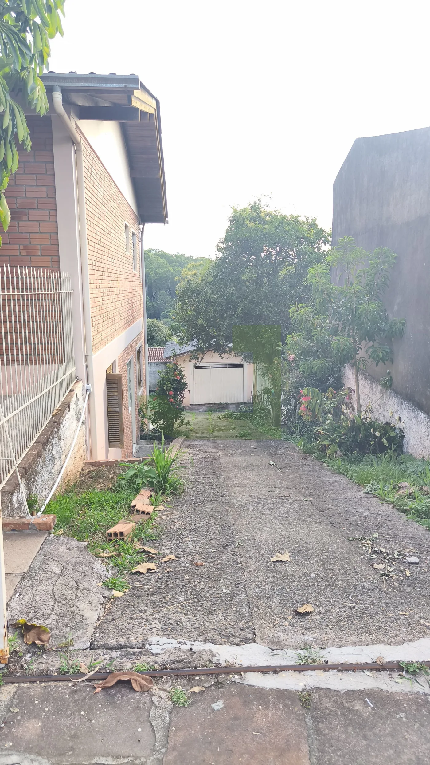 Comprar Casa / Residencial em S&atilde;o Leopoldo R$ 424.000,00 - Foto 5