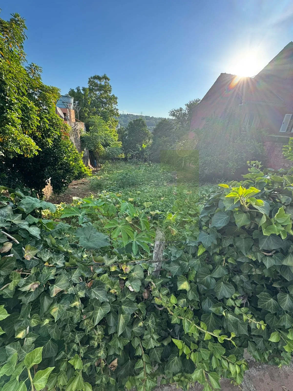 Comprar Terreno / Padr&atilde;o em S&atilde;o Leopoldo R$ 180.000,00 - Foto 3